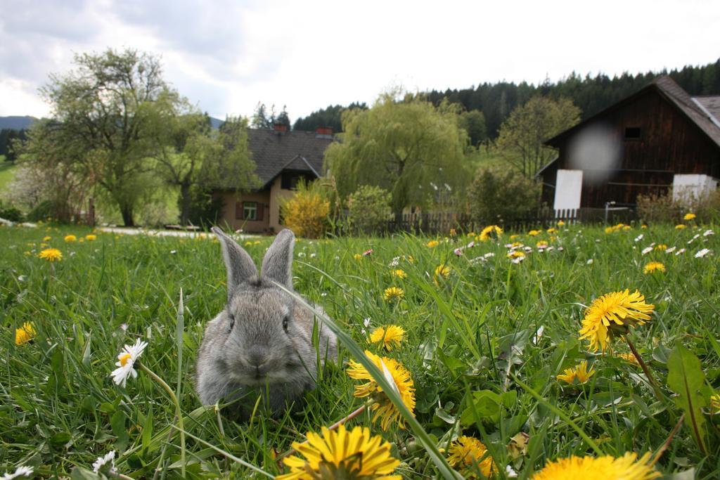Bauernhof Hoenigshof Фишбах Экстерьер фото